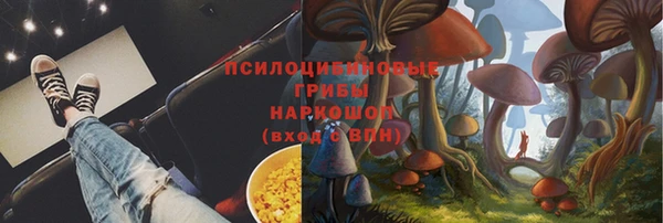 мяу мяу мука Алексеевка