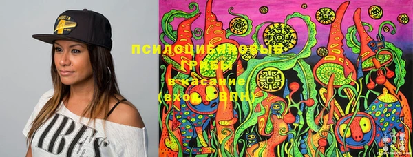 не бодяженный Алексин