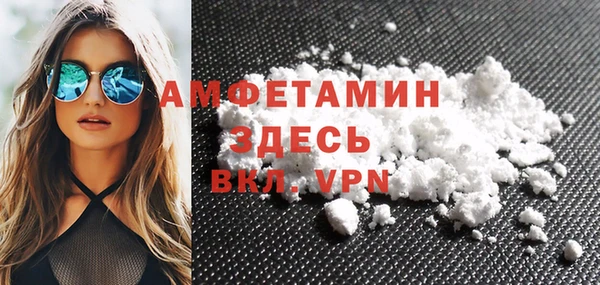 шишки Алзамай