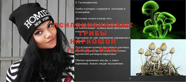 шишки Алзамай