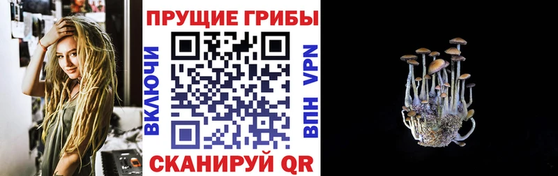 Галлюциногенные грибы GOLDEN TEACHER  Менделеевск 